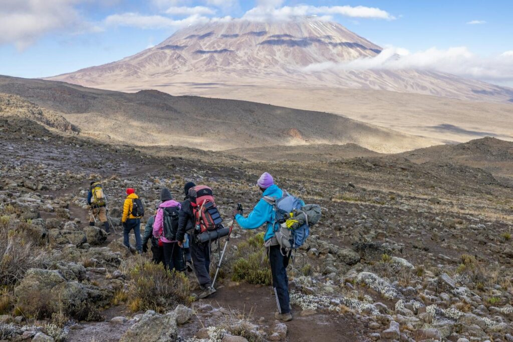 3-Day Budget Group Safari: Tarangire, Ngorongoro Crater and Kilimanjaro