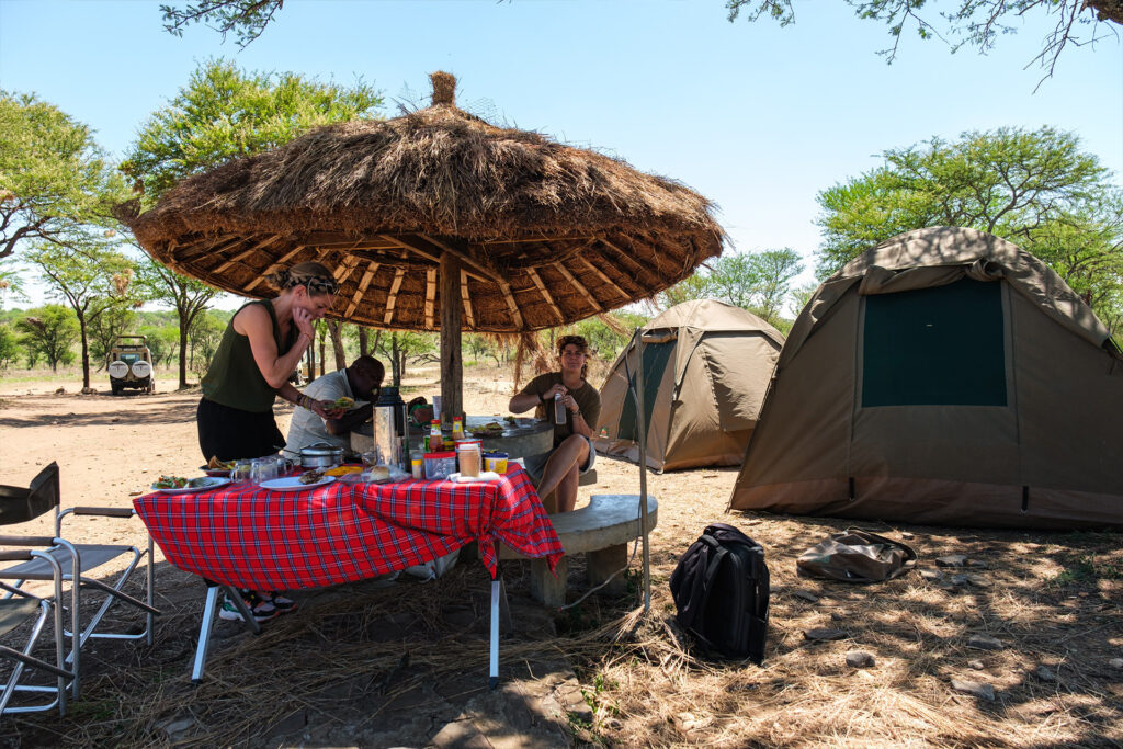 4-Day Budget Tarangire National Park, Serengeti Serengeti National park  & Ngorongoro Camping Safari