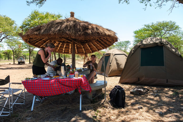 4-Day Budget Tarangire National Park, Serengeti Serengeti National park  & Ngorongoro Camping Safari