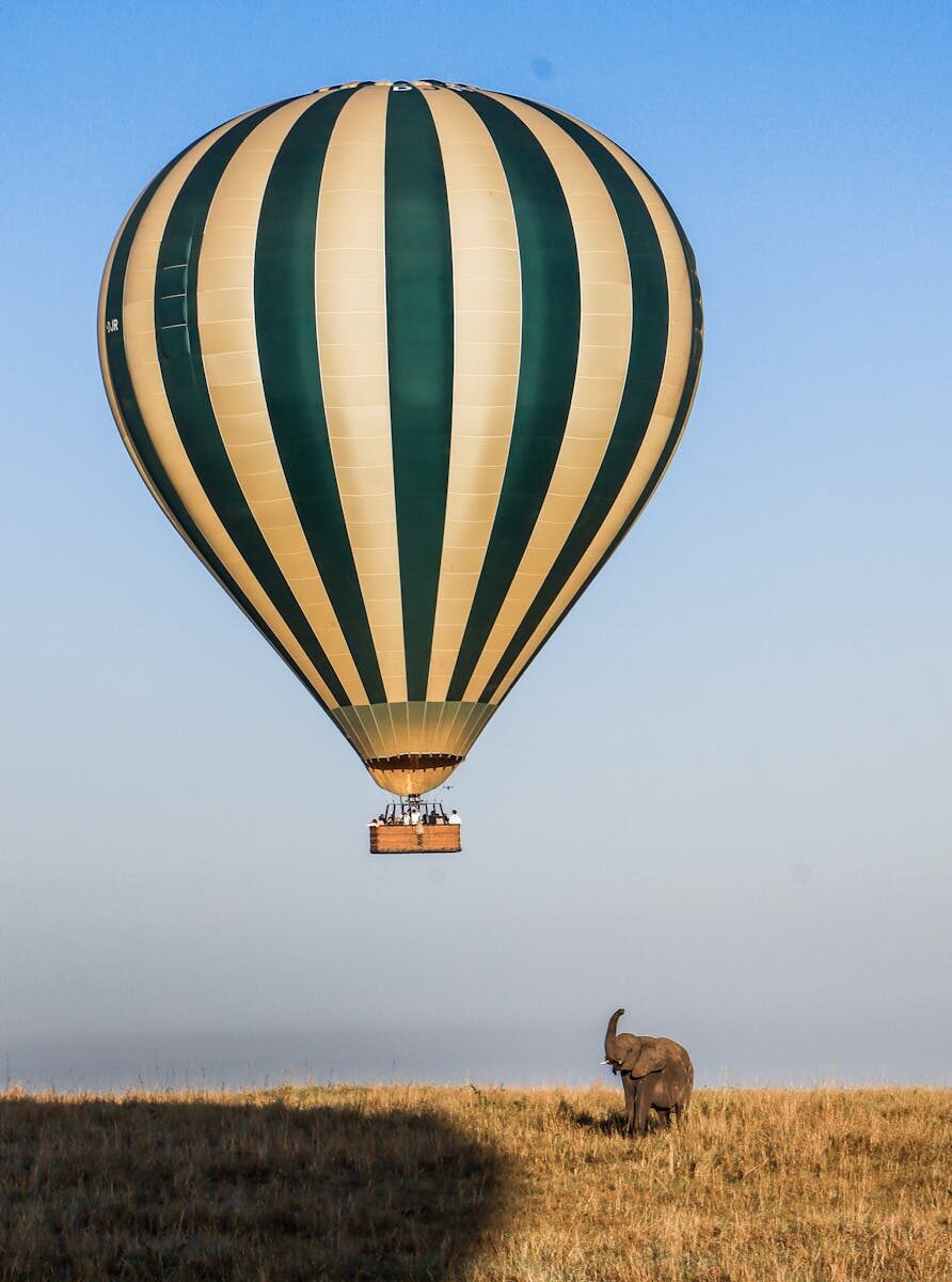 Hot Air Balloon Safari