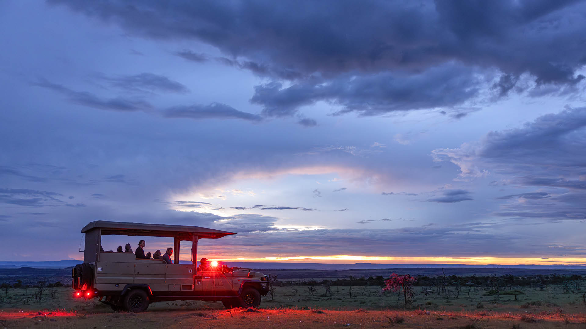 Night Game Drive Experience