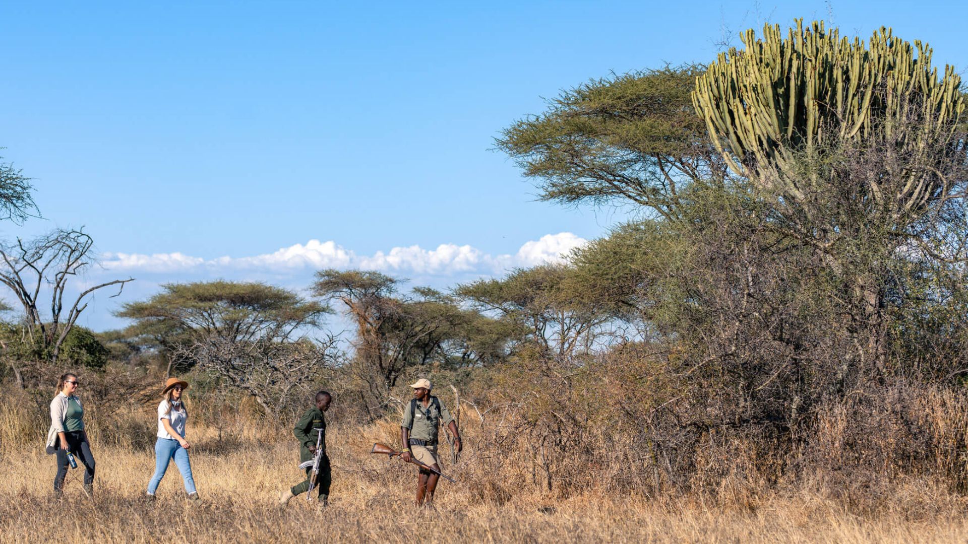 Bush Walk & Walking Safari