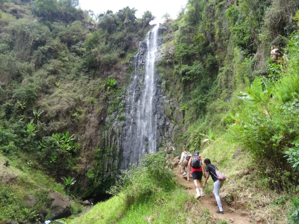 Materuni Waterfalls and Coffee Tour