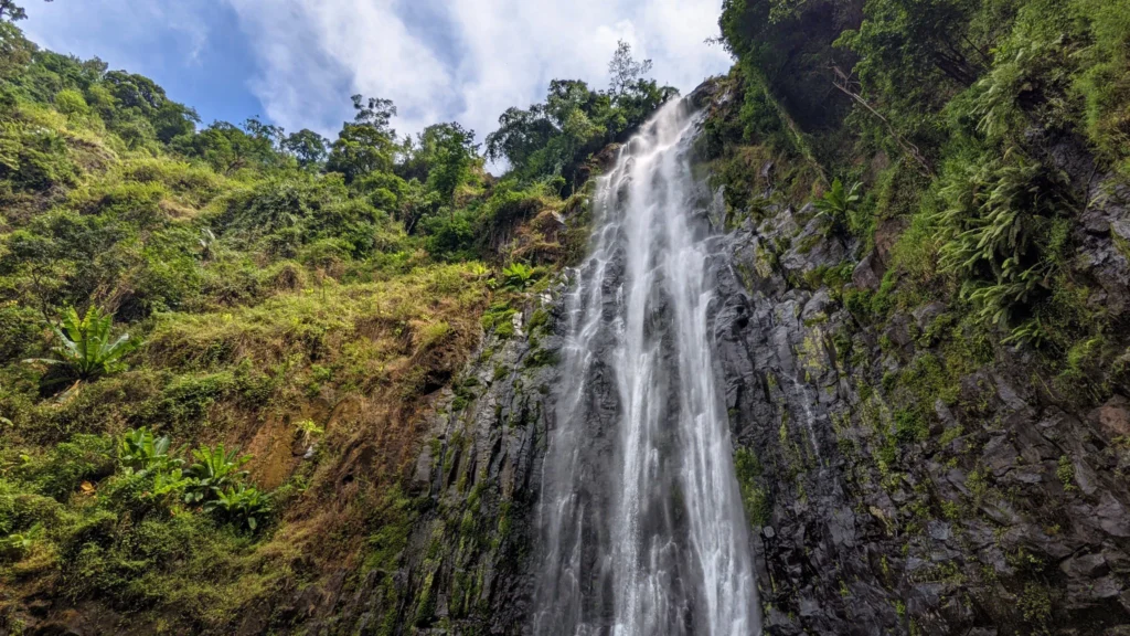4-Day Tanzania Safari with Materuni Waterfalls and Coffee