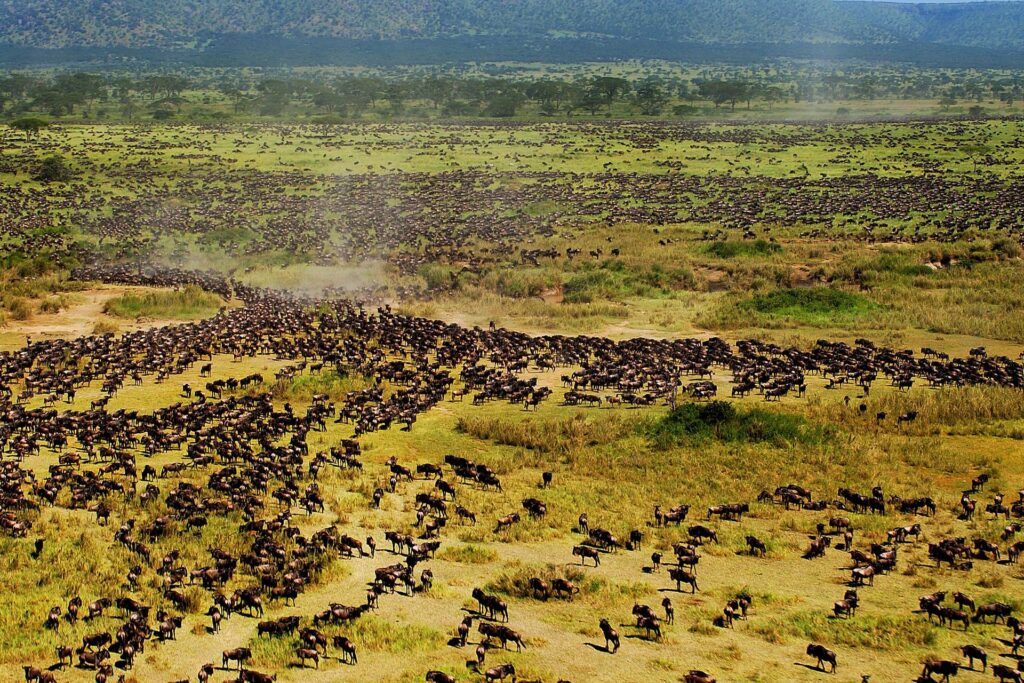 5-Day Private Lodge Safari: Serengeti and Ngorongoro Crater