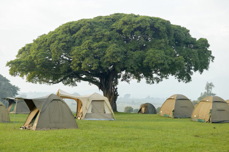 4-Day Budget Camping Northern Circuit Safari