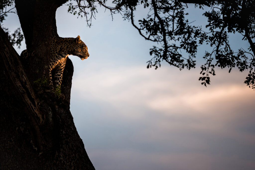 5-Day Budget Camping Safari with Materuni Waterfalls