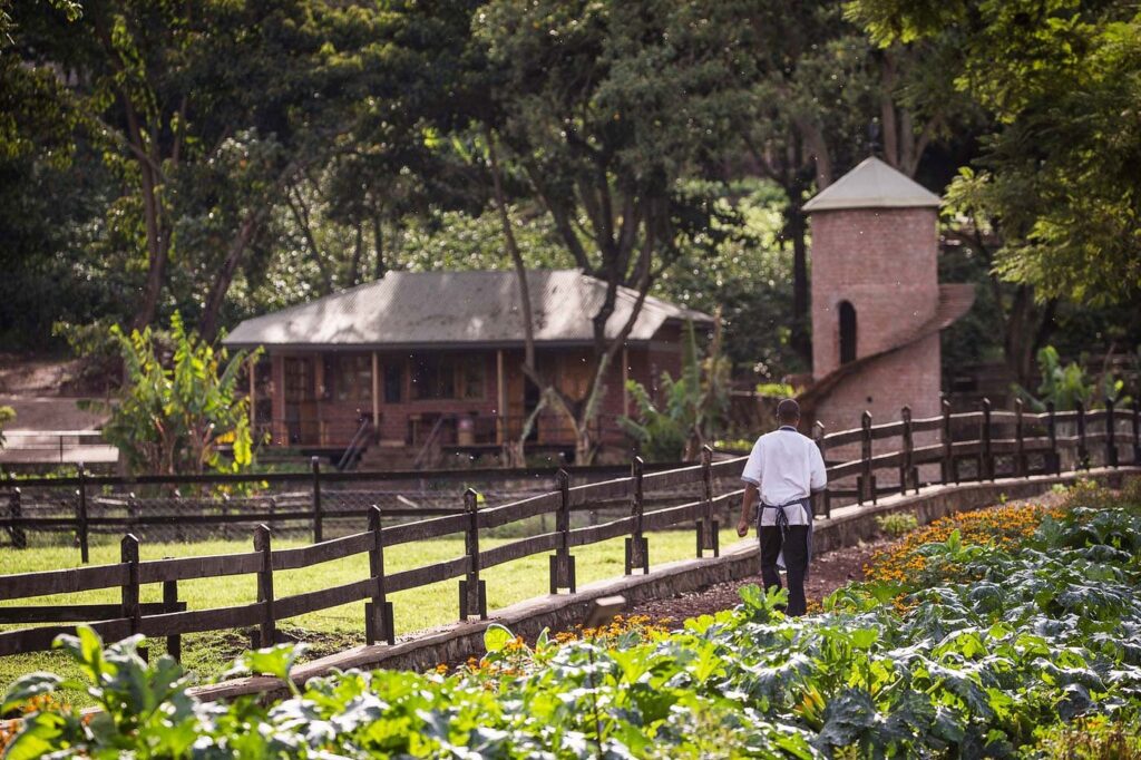 5-Day Private Lodge Safari: Serengeti and Ngorongoro Crater
