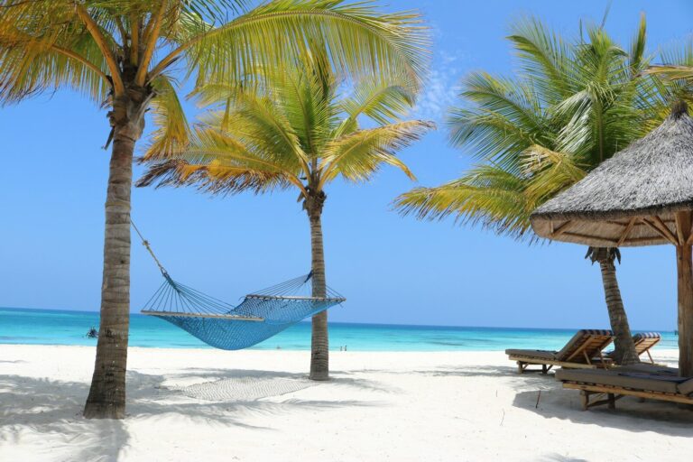 4-Day Fly-in Safari from Zanzibar: Serengeti and Ngorongoro Crater