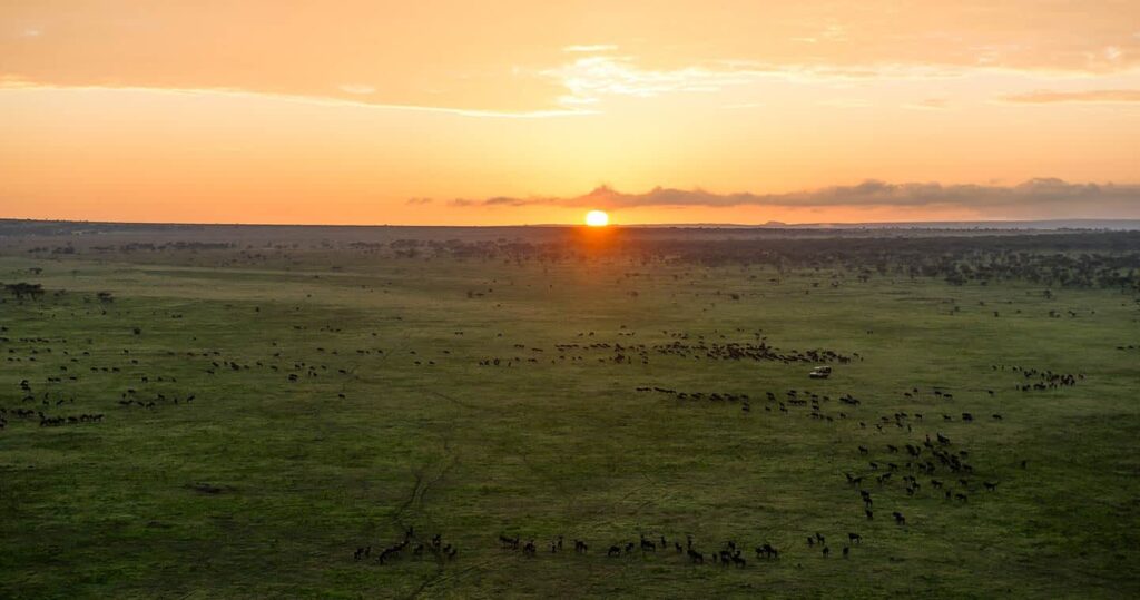 Serengeti National Park Tanzania