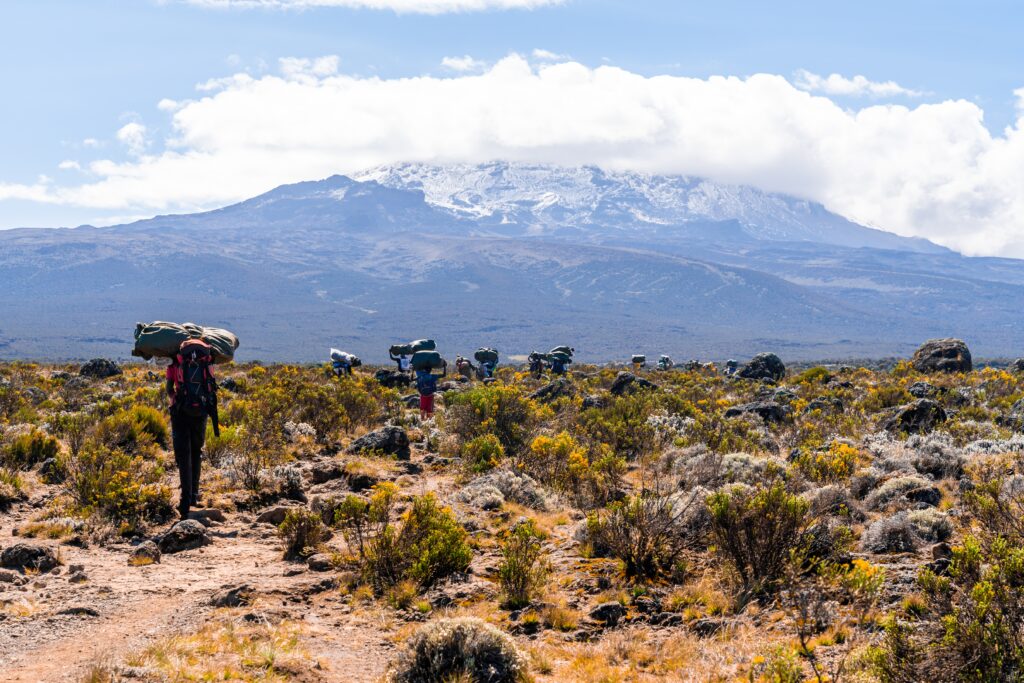 Kilimanjaro Day Hike from Arusha