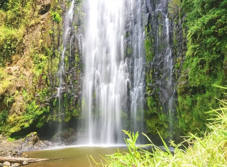 3-Day Tanzania Safari with Materuni Waterfalls and Coffee