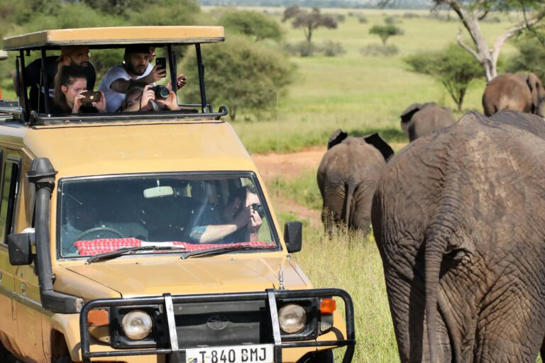 3-Day Private Mid-Range Safari: Tarangire, Lake Manyara and Ngorongoro Crater
