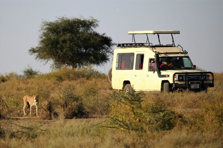 3 Days Budget Camping Serengeti Safari