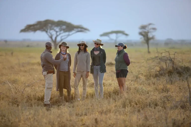 4-Day Fly-in Safari from Zanzibar: Serengeti and Ngorongoro Crater
