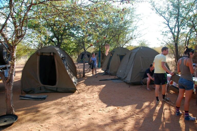 2-Day Private Lodge Safari: Tarangire and Ngorongoro Crater