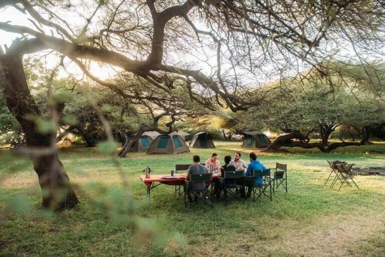 5-Day Private Luxury Safari: Tarangire, Serengeti and Ngorongoro Crater