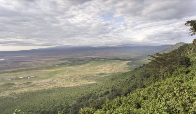 Ngorongoro Crater