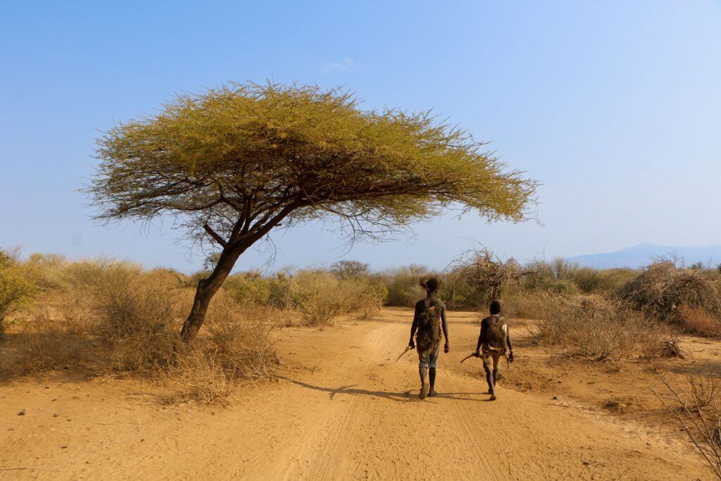 3-Day Fly-in Safari from Zanzibar: Tarangire, Lake Manyara and Ngorongoro Crater