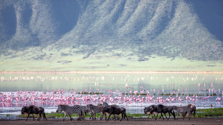 3 Days Serengeti Express Safari