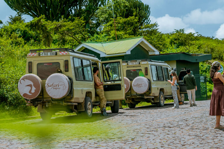6-Day Private Luxury Safari: Tarangire, Serengeti, Lake Manyara and Ngorongoro Crater